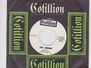 PETER SULLY & ORCHARD Evil Woman 1968 UK RUBBLE FREAKBEAT PSYCH GEM 45 LISTEN