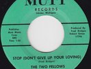 STOP (DON'T GIVE UP YOUR LOVING) - THE TWO FELLOWS (FRED & SKEETS) - EXCELLENT