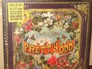 PANIC AT THE DISCO Pretty Odd SEALED VINYL LP fall out boy.paramore.killers.fun