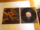 IF THESE TREES COULD TALK s/t lp ltd 250 pelican junius mogwai maserati jesu