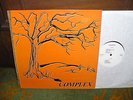 private press psych LP COMPLEX same UK mono TENTH PLANET M- prog