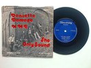 Dansette damage -the only sound-   1978-shoestring records-LACE 001