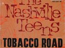 THE NASHVILLE TEENS