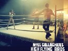 NOEL GALLAGHER`S HIGH FLYING BIRDS *DREAM ON 12