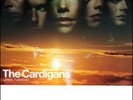 LP:The Cardigans,Gran Turismo[NM] (Simply Vinyl)