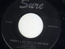 MO rockabilly Austin Wood SURE # (( HEAR )) There's a big rock in the road