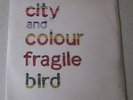 CITY AND COLOUR - Fragile Bird 7