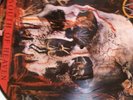 SLAYER SOUTH OF HEAVEN LP VINYL RECORD PICTURE DISC RARE MEGADETH METALLICA RARE