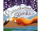 Beachwood Sparks 1st s/t Record Album 12