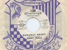 HEAR- Rare Teen / Popcorn 45- Jimmy Seals- Runaway Heart- Challenge- Promo - M-