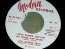 17th Avenue Exits US 67 Fuzz garage psych freakbeat 45 on Modern Recs