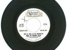 45 RPM PROMO, Rose St. John & The Wonderettes, U.A. # 997, Mend My Broken Heart