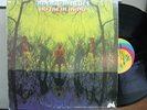 American Blues - Do Their Thing LP pre ZZ Top universal city records