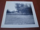 + MACREEL- STEP IT OUT- PRIVATE DUTCH PROG FOLK.
