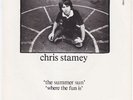 CHRIS STAMEY & ALEX CHILTON The Summer Sun RARE M- US powerpop 7