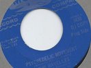 THE RAVELLES PSYCHEDELIC MOVEMENT / SHE'S ON MY MIND MOBIE PROMO  PSYCH 45  VG+