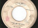 The Beatles Rare Vee Jay Promo Sample 7