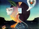 Nick Drake LP Pink Moon Island pink rim label