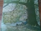 Yoko Ono / Plastic Ono Band 1st Press Apple - Play In The Dark SAPCOR 17 Beatles
