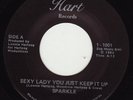 SPARKLE Rarest Mississippi Electro Boogie 7