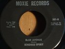 Kindred Spirit - Blue Avenue / Great 60's Johnstown, Pa Garage Psych Fuzz Guitar