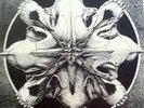 V/A COLD SPRING AND THE WOLF SHALL LICK HAFLER TRIO