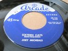 (HEAR) JOEY MICHEALS Sixteen Cats ARCADE Orig 45 Killer Rockabilly Bopper Rocker