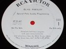 Elvis 