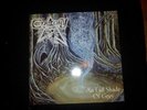 Cemetary-  An Evil Shade of Gray Original LP Dismember Unleashed Nihilist DEATH