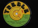 DELROY WILLIAMS - RED, GREEN & GOLD IN MY GARDEN - 7