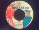 Northern Soul *THE SOUL IN-PRESSIONS*  DETROIT 45 (Zing) on AQUARIUS