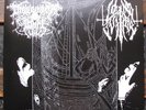 DROWNING THE LIGHT / LONE SUFFER 10