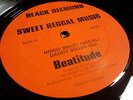 HOWIE SMART - SWEET REGGAE MUSIC // 12