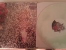 Ty Segall S/T limited Edition Colored thee oh sees jay reatard goner records new