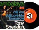 TONY SHERIDAN Jambalaya 7