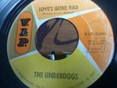 THE UNDERDOGS. LOVE'S GONE BAD/ MO JO HANNA. 1962 BEAT. VIP RECORDS.GARAGE. MOD