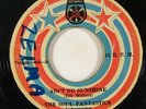 Latin Funk 45 SOUL FANTASTICS Ain't No Sunshine on Taboga panama