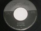 RARE SURF , THE PAGE BOYS on HAMILTON 50025 . 