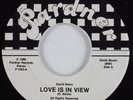 Modern Soul 45 DAVID NEVIN Love Is In View PARDNER HEAR