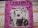  1967 PICTURE SLEEVE SINGLE BY THE SEEDS 
