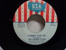 THE CHERRY SLUSH 
