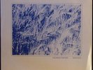 INDIGO Herbstwind LP German Prog/Space Rock ala Novalis RARE private