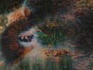 PINK FLOYD - A Saucerful of Secrets (1968 first UK stereo pressing)