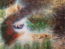 PINK FLOYD A SAUCERFUL OF SECRETS LP MINT CONDITION