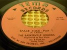 BASKERVILLE HOUNDS SPACE ROCK GARAGE ORGAN MOD OHIO TULU BABIES *HEAR IT*