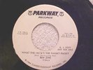 BEN ZINE (RARE N. SOUL)   VILLAGE OF TEARS   PARKWAY PROMO 996 (NM)