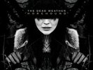 The Dead Weather Horehound 2 x 12