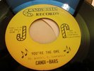 Sweet Soul Modern 45 CANDI BARS you're the one LISTEN