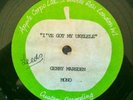 Gerry Marsden Apple Records Acetate 45  Beatles