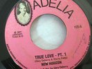 New Horizon True Love Adelia 105 Unknown? Soul Funk EX HEAR